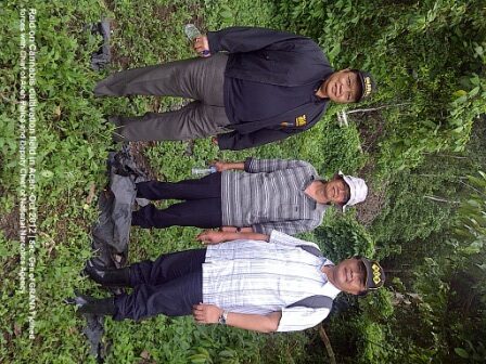 2012 Sep. Cannabis Raid Aceh