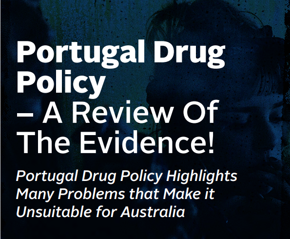 Dalgarno Institute: Review on the Portuguese Drug Policy Dalgarno Institute: Review on the Portuguese Drug Policy