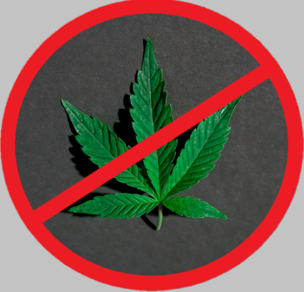Press Statement – Response to the Petition by the Rastafarian Association of Kenya Press Statement – Response to the Petition by the Rastafarian Association of Kenya