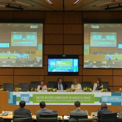 CND Intersessionals – Intervention during the Thematic Session on Prevention