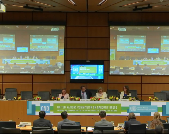 CND Intersessionals – Intervention during the Thematic Session on Prevention CND Intersessionals – Intervention during the Thematic Session on Prevention